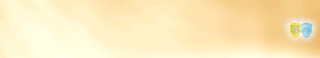 NP_Banner_FreshBurst (1)bgbgb